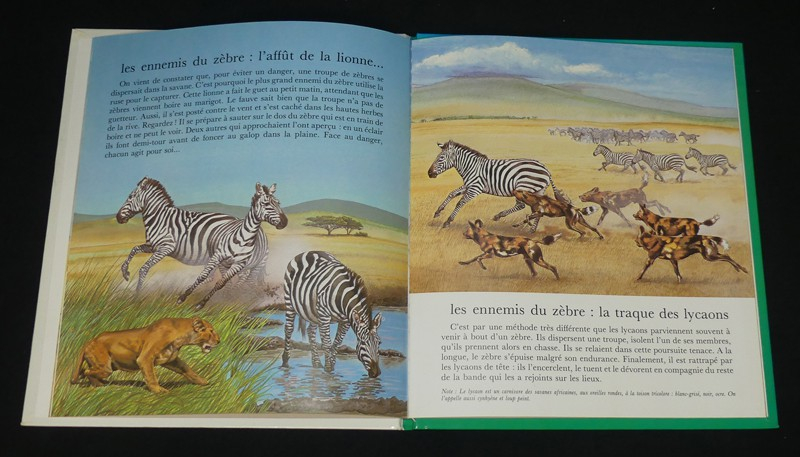 11 albums de la collection 