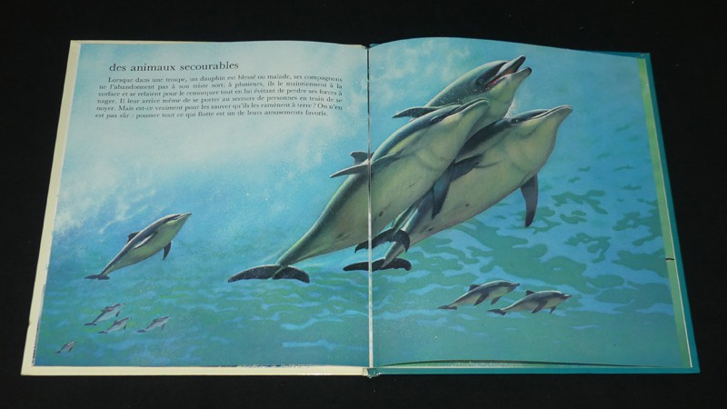 11 albums de la collection 