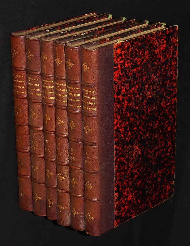 Dictionnaire géographique, historique et biographique d'Indre-et-Loire et de l'ancienne province de Touraine (6 volumes)