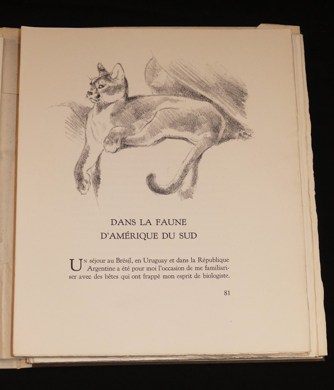 La Vie des bêtes sur la terre, dans les airs et dans les eaux