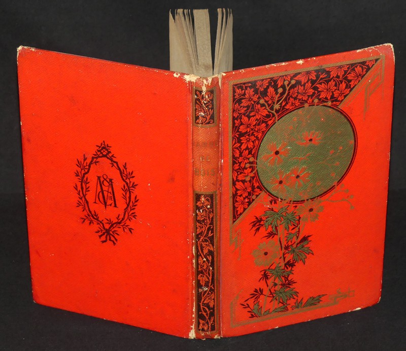 L'homme à la jambe de bois