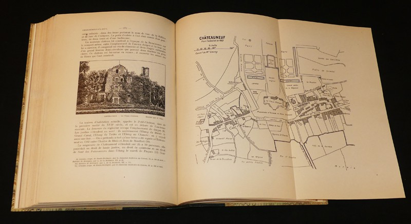 Le département d'Ille et Vilaine, histoire-archéologie-monuments