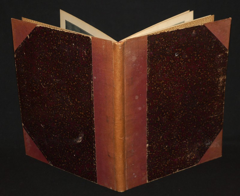 Le décolleté et le retroussé : Quatre siècles de gauloiseries, 1500-1900