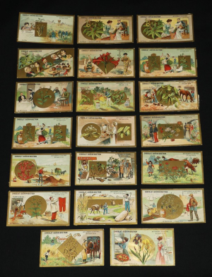 Lot de 19 chromos + 1 double Chocolat Guérin-Boutron : Botanique illustrée