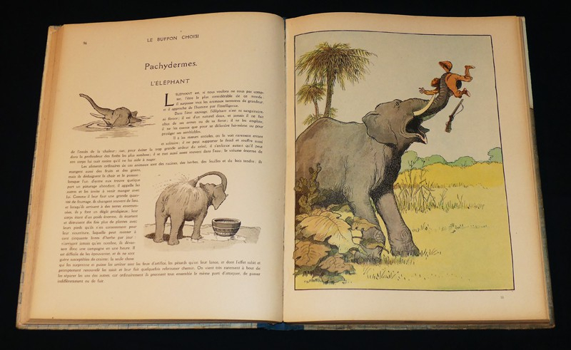 Le Buffon choisi de Benjamin Rabier