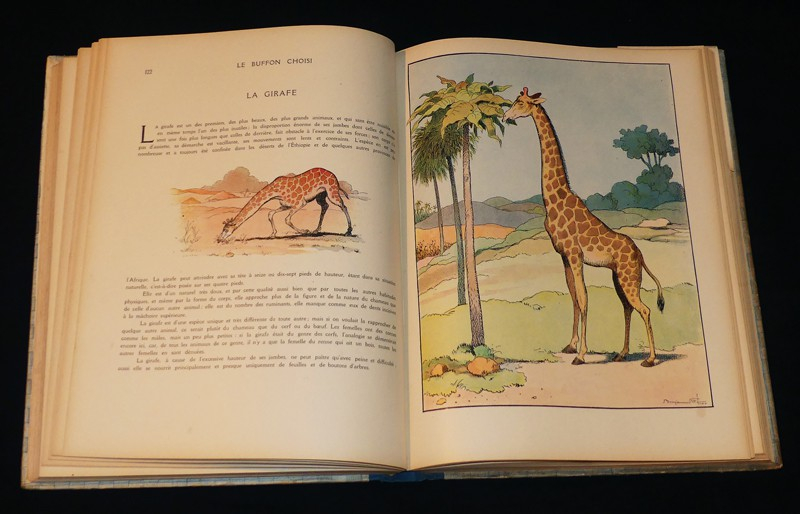 Le Buffon choisi de Benjamin Rabier