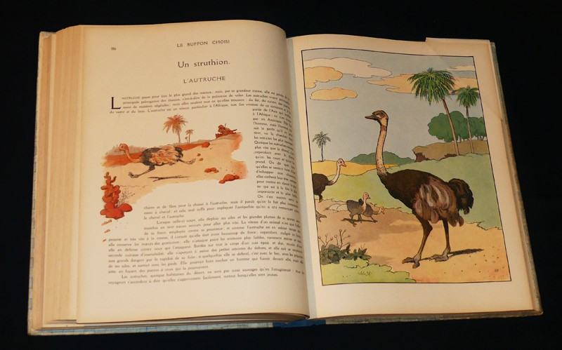 Le Buffon choisi de Benjamin Rabier