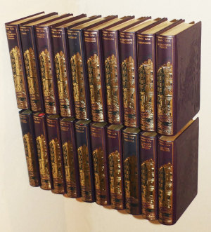 Les Rougon-Macquart (20 volumes)