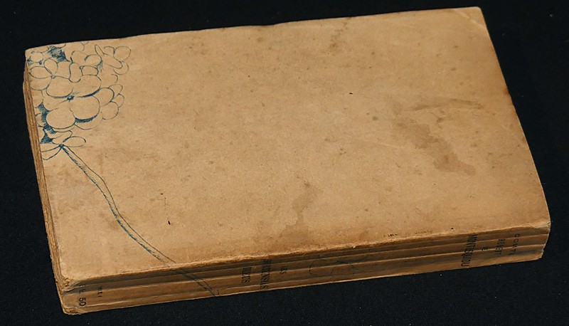 Les Hortensias Bleus