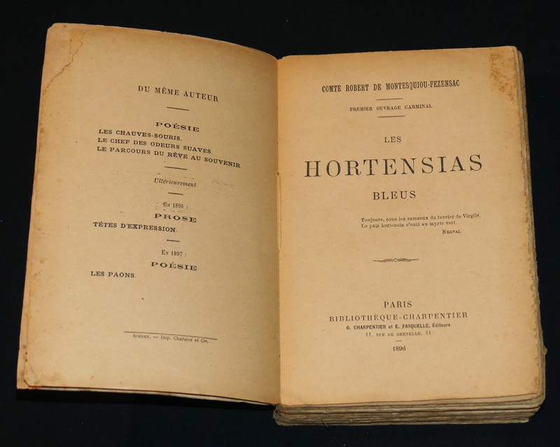 Les Hortensias Bleus