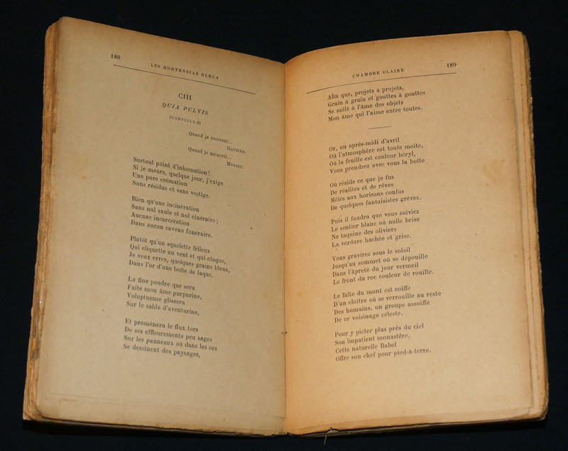 Les Hortensias Bleus