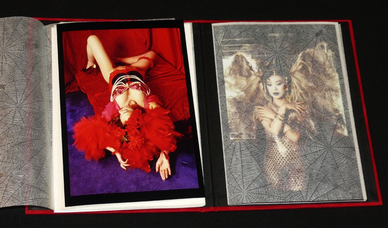 Les Métamorphoses de la Méduse