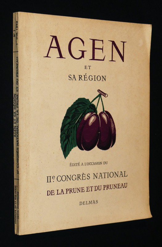 Agen et sa région