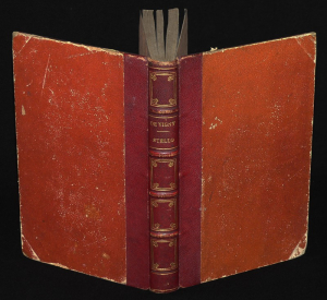 Stello (première consultation du Docteur-Noir)