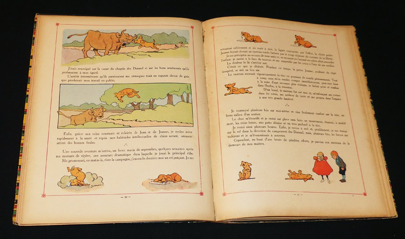 Les Mésaventures d'un chien