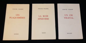 Evelyne Voldeng, 3 ouvrages