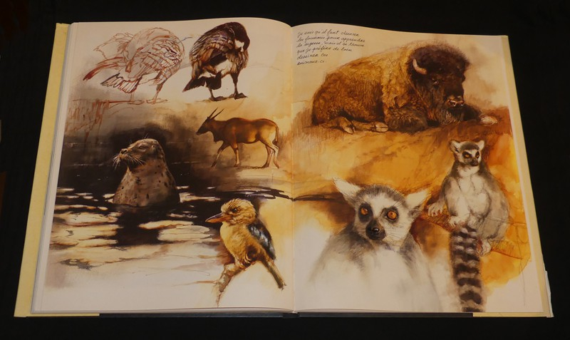 L'Arche de Noé. A tout seigneur, tout honneur