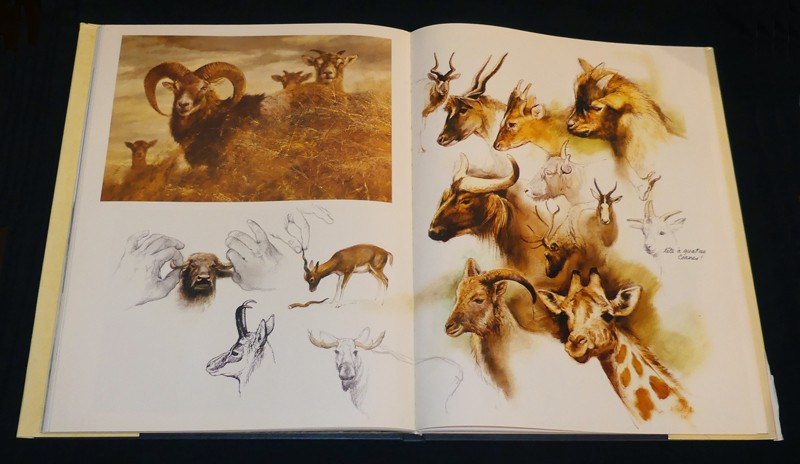 L'Arche de Noé. A tout seigneur, tout honneur