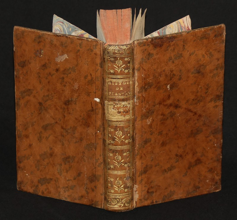 Histoire de la maison de Plantagenet sur le trône d'Angleterre, depuis l'invasion de Jules César, jusqu'à l'avènement de Henri VII (Tome 5)