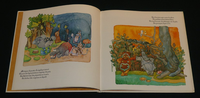 Mais enfin, pourquoi voit-on de si drôles de choses dans le ciel du royaume de Julelejuste Ier ?