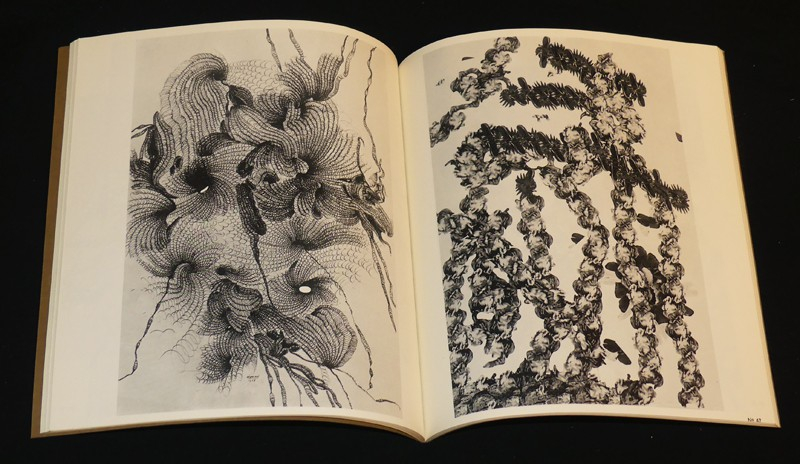 Bernard Réquichot, 1929-1961. Rétrospective