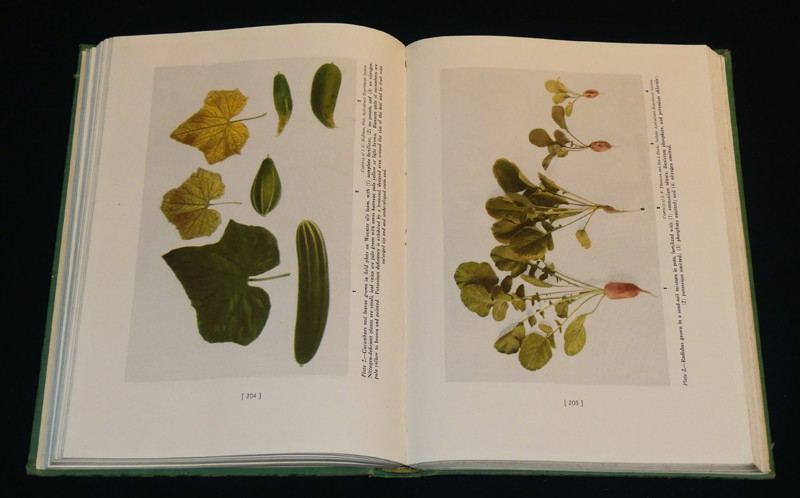 Hunger Signs in Crops: A Symposium