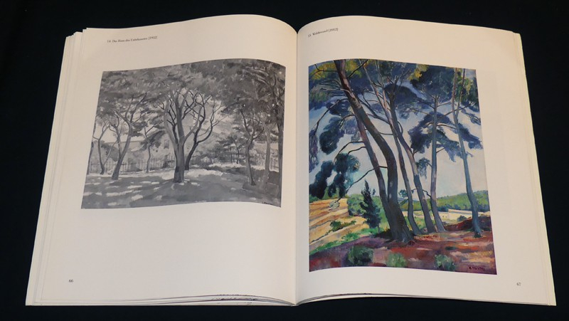 Carl Montag. Maler und Kunstvermittler (1880-1956)