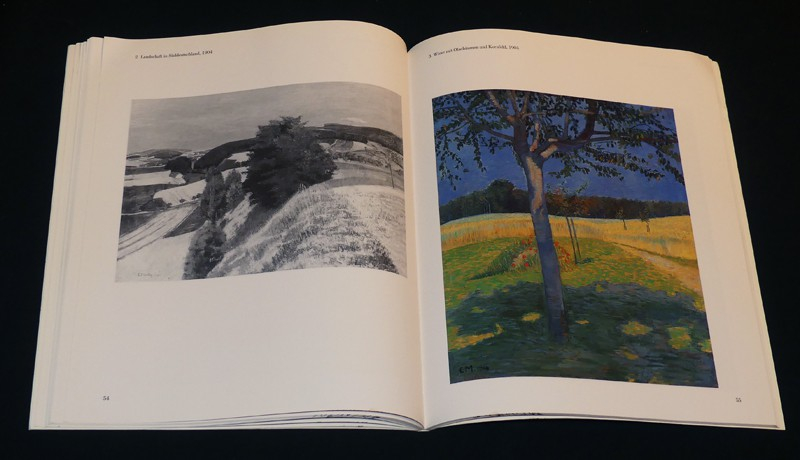 Carl Montag. Maler und Kunstvermittler (1880-1956)