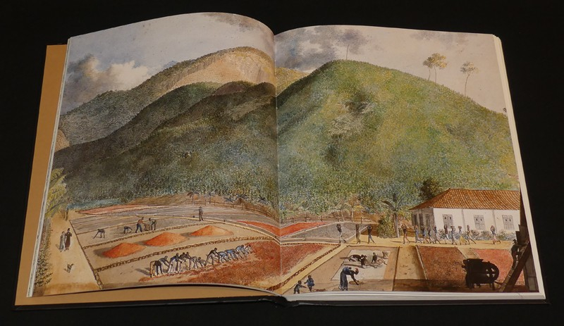 Café, plaisir au goût d'amertume