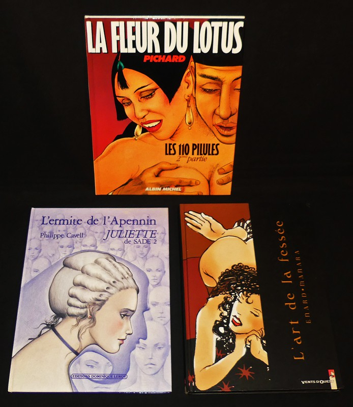 Lot de 11 bandes dessinées pour adultes