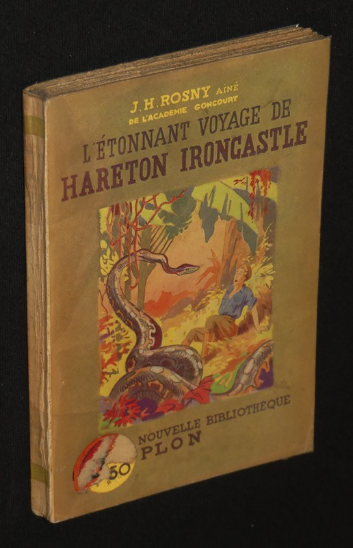 L'Etonnant voyage de Hareton Ironcastle