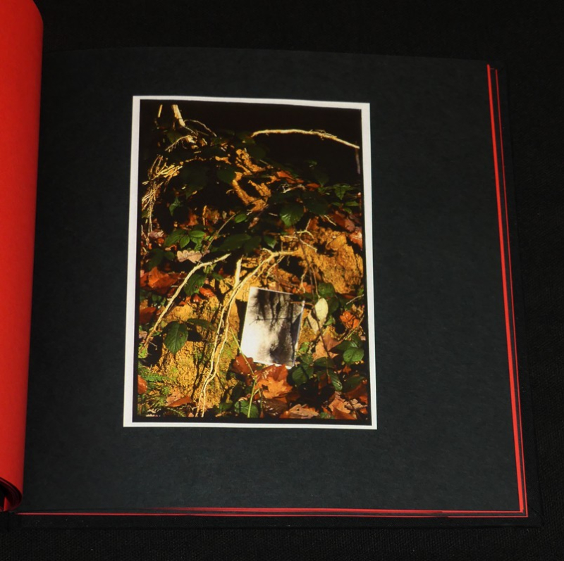 Je t'aime ! ? ???? ????? ! I love you !