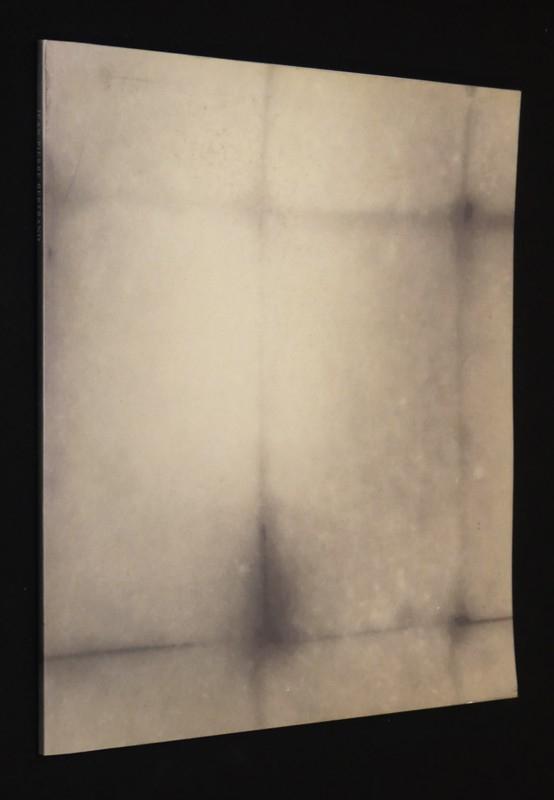 Jean-Pierre Bertrand. Tri. Murs. Galerie de France, 9 septembre 8 octobre 1988