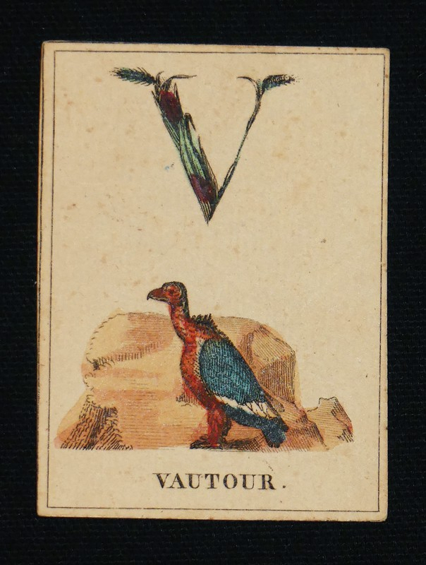Joli abécédaire en fleur orné d'un grand nombre d'animaux et des mots les plus faciles à épeler.