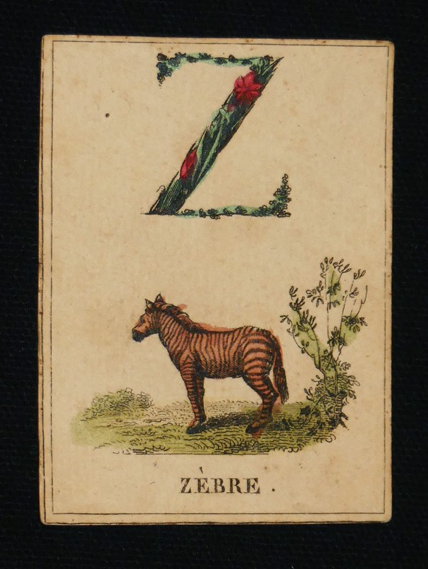 Joli abécédaire en fleur orné d'un grand nombre d'animaux et des mots les plus faciles à épeler.
