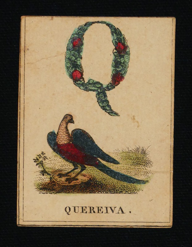 Joli abécédaire en fleur orné d'un grand nombre d'animaux et des mots les plus faciles à épeler.