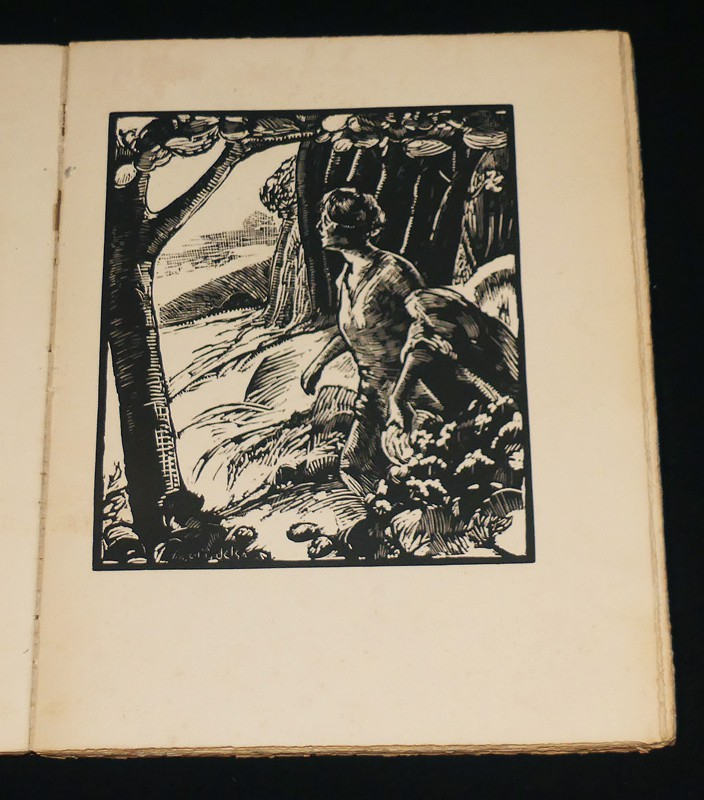 L'oeil-de-chat, contes