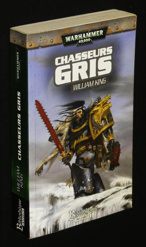 Chasseurs gris, tome III de la série de Ragnar Crinière Noire