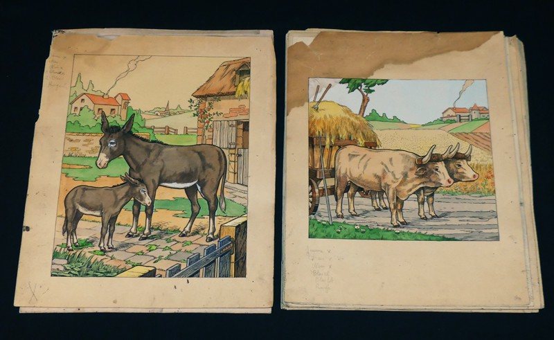 ABC des Bêtes en Famille : Planches d'illustration originales