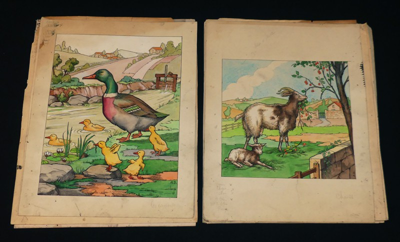 ABC des Bêtes en Famille : Planches d'illustration originales