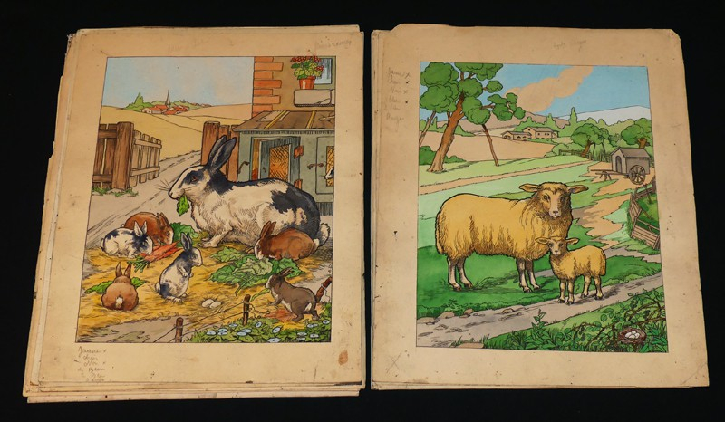 ABC des Bêtes en Famille : Planches d'illustration originales