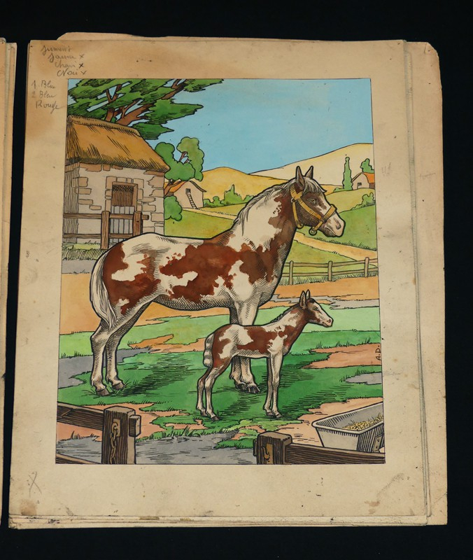 ABC des Bêtes en Famille : Planches d'illustration originales