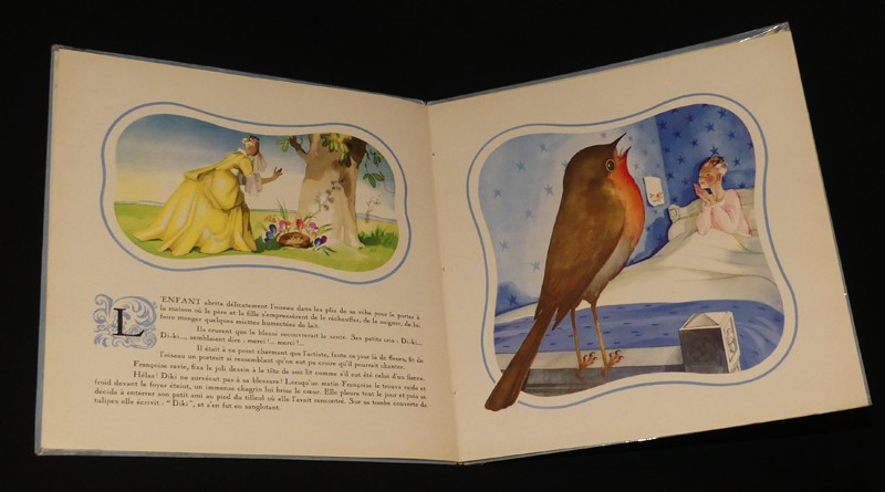 Diki le rouge-gorge enchanté