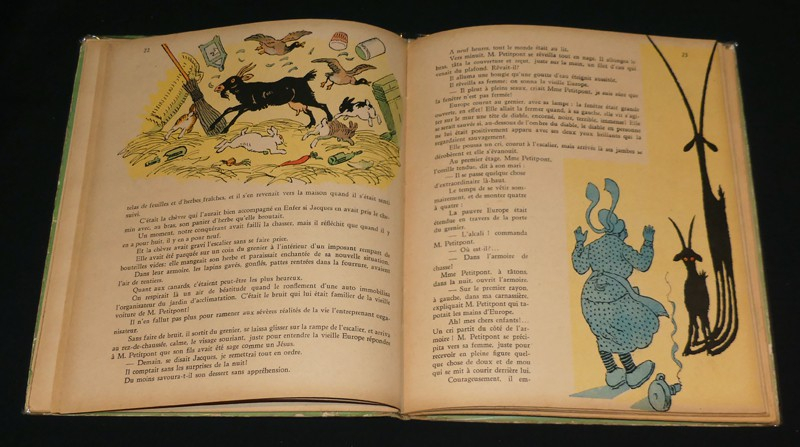 Jacques Petitpont roi de Madagascar