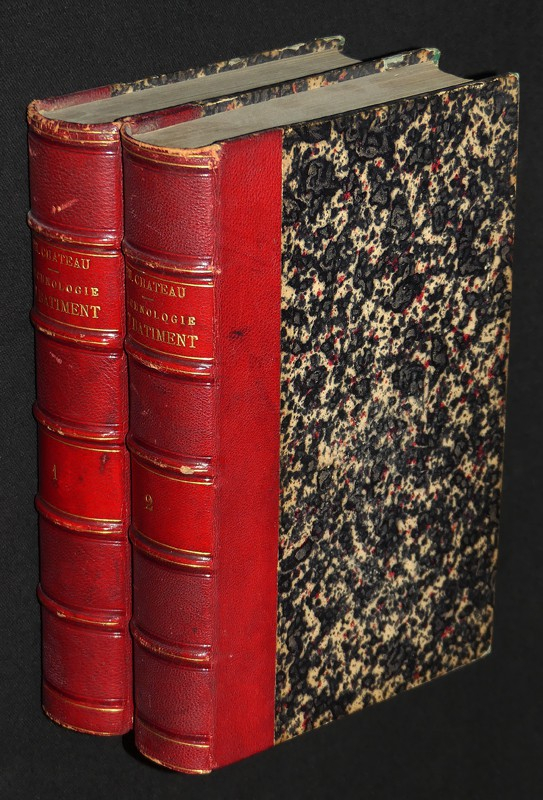 Technologie du bâtiment ou étude complète des matériaux de toute espèce employés dans les constructions depuis leur fondation jusques et y compris leur décoration (2 volumes)