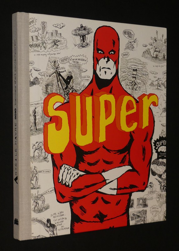 Bande dessinée et art contemporain, la nouvelle scène de l'égalité (Arts : Le Havre 2010, biennale d'art contemporain)