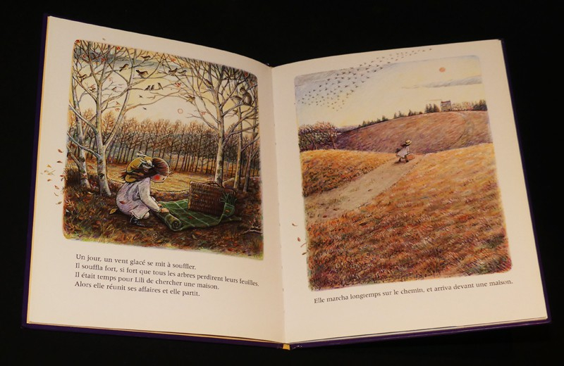 La Maison au bout du chemin : Histoire d'une maison de poupée