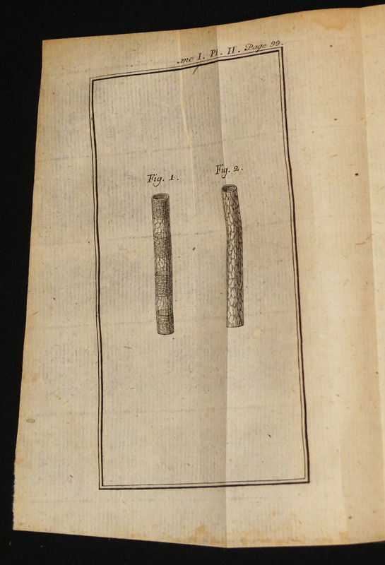 De l'Homme ou des principes et des loix de l'influence de l'âme sur le corps, et du coprs sur l'âme (2 tomes)