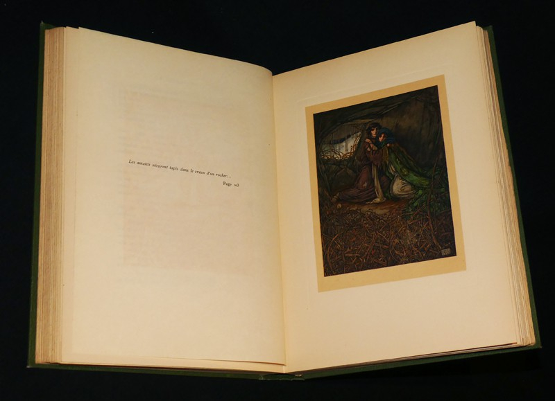 Le Roman de Tristan et Iseut