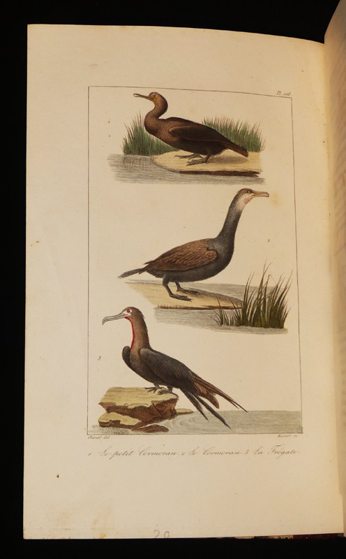 Oeuvres complètes de Buffon, 20 volumes